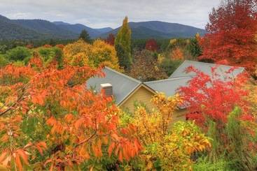 Chestnut Tree Holiday Units