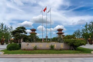 هتل Holiday Inn Express Zhengzhou Airport, An Ihg