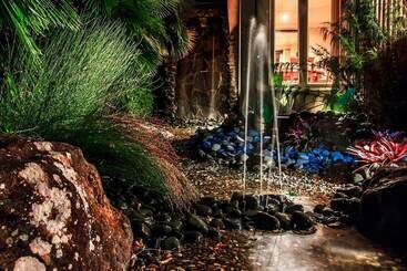 Sanctuary Palms