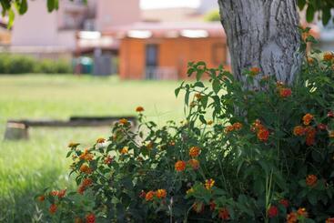 هتل Agriturismo Il Gelsomino Ritrovato