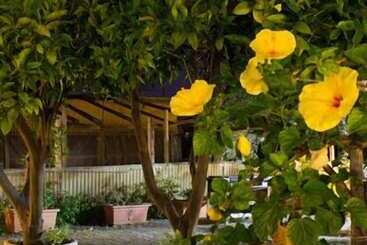 هتل Agriturismo Il Gelsomino Ritrovato
