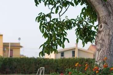 هتل Agriturismo Il Gelsomino Ritrovato