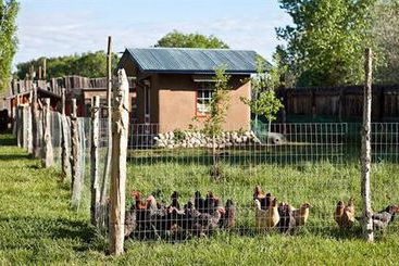 تختخواب و صبحانه Casa Gallina   An Artisan Inn