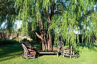 تختخواب و صبحانه Casa Gallina   An Artisan Inn