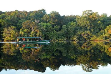 هتل Amazon Ecopark Jungle Lodge