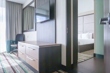 Отель Hilton Garden Inn San Jose La Sabana
