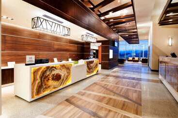 Отель Hilton Garden Inn San Jose La Sabana