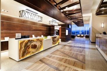 Отель Hilton Garden Inn San Jose La Sabana