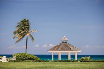 هتل Hyatt Ziva Rose Hall All Inclusive