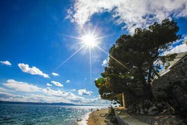 هتل Tui Blue Makarska   Adults Only
