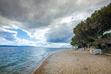 هتل Tui Blue Makarska   Adults Only