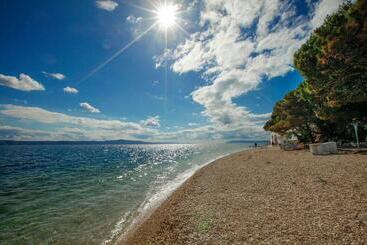 هتل Tui Blue Makarska   Adults Only