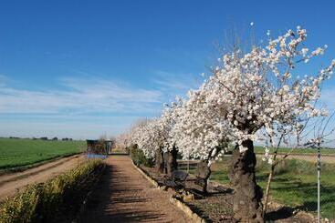 فندق El Cortijo De Daimiel