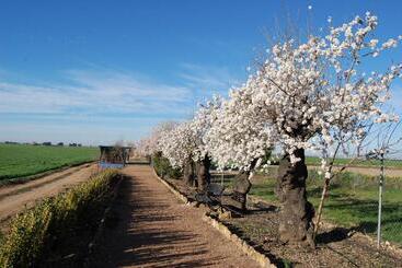 酒店 El Cortijo De Daimiel