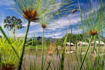 酒店 Lala Mukha Tented Resort Khao Yai