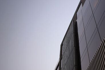 Hotel Roseate House New Delhi