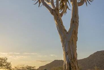 هتل Solitaire Desert Farm