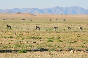 هتل Solitaire Desert Farm
