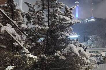 هاستل Le Seoul