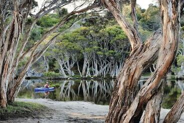 تختخواب و صبحانه Sea Dragon Kangaroo Island