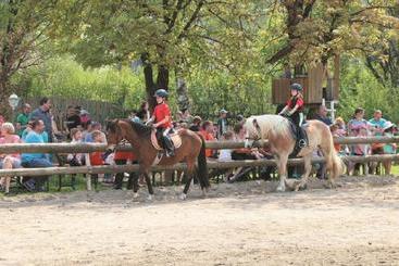 هتل Reiterhof Schober
