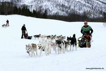 هتل Skagi Bed & Lodge