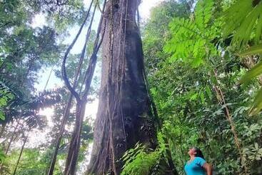Corcovado Foundation Biohostel