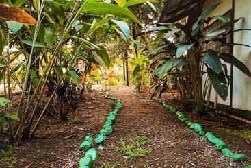 Corcovado Foundation Biohostel