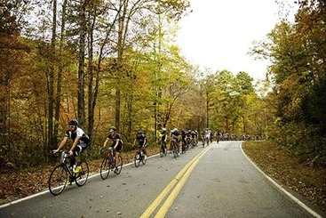 هتل Domestique