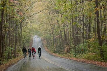 هتل Domestique