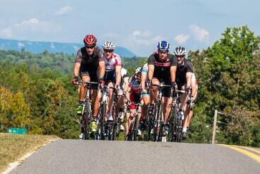 هتل Domestique