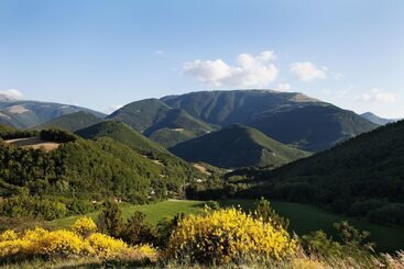 هتل روستایی Agriturismo Bufano
