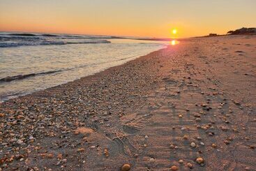 هتل The Sagaponack