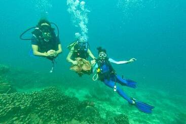 استراحتگاه Boochee Beach