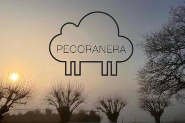 تختخواب و صبحانه Pecoranera