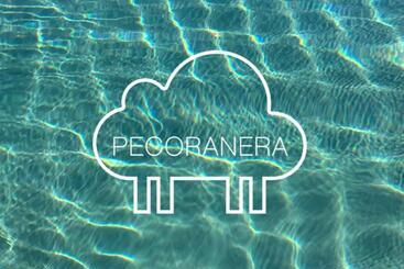 تختخواب و صبحانه Pecoranera