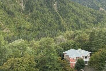 هتل Borjomi Likani Health & Spa Centre