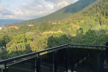 هتل Borjomi Likani Health & Spa Centre