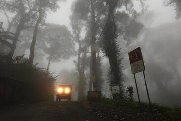 استراحتگاه Spicetree Munnar