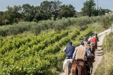 هتل Agriturismo Palazzo Bandino Wine Cellar, On Reservation Restaurant And Spa