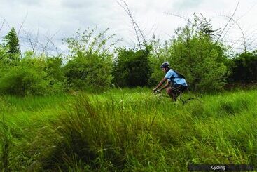 هتل The Serai Chickmagalur