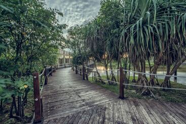 Suriya Resort