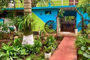 ユースホステル Yaxche Centro Hostal Y Camping