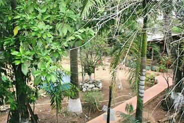 ユースホステル Yaxche Centro Hostal Y Camping