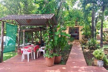 ユースホステル Yaxche Centro Hostal Y Camping