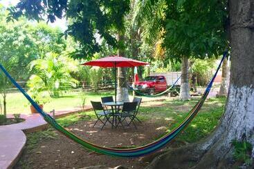 ユースホステル Yaxche Centro Hostal Y Camping