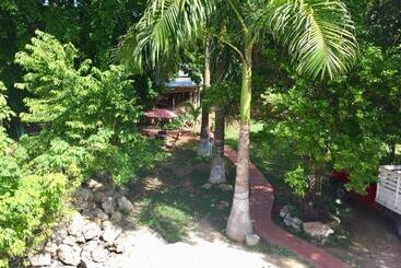 הוסטל Yaxche Centro Hostal Y Camping