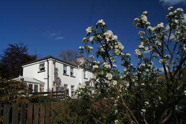 Arfryn House Bed And Breakfast