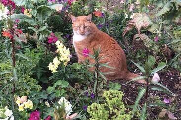 Calendar Cottage Bed & Breakfast