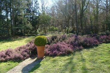 White Lodge B&b